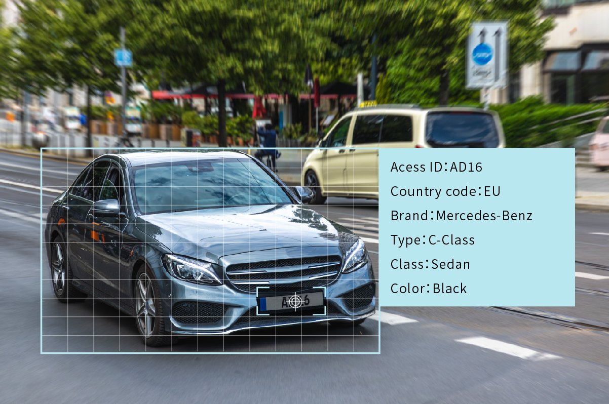 License Plate and Vehicle Recognition